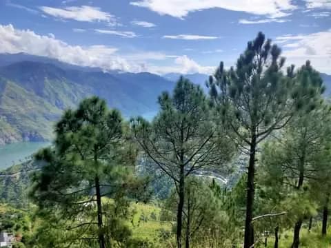 Morning sadhana — where the day begins in stillness 🧘